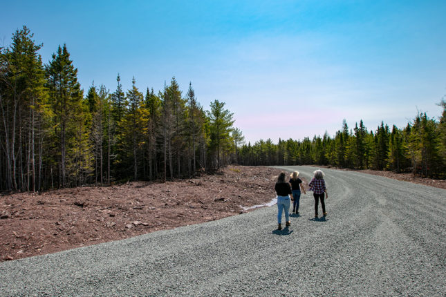 Properties in Cape Breton Island - www.goldenlakeestates.ca