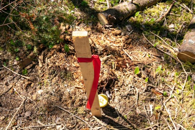 Golden Lake Estates Ltd. - Immobilien in Kanada