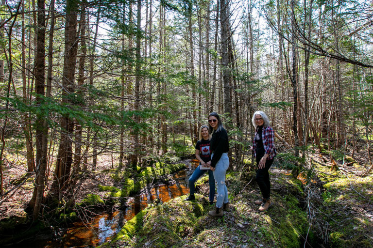 Properties in Cape Breton Island - www.goldenlakeestates.ca