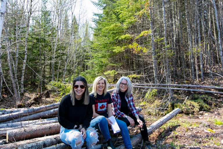 Properties in Cape Breton Island - www.goldenlakeestates.ca