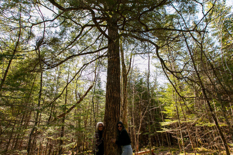 Properties in Cape Breton Island - www.goldenlakeestates.ca