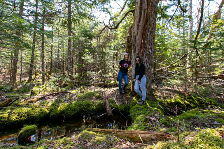 Properties in Cape Breton Island - www.goldenlakeestates.ca