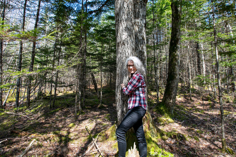 Properties in Cape Breton Island - www.goldenlakeestates.ca