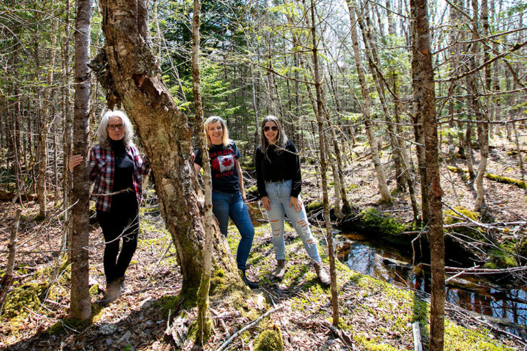 Properties in Cape Breton Island - www.goldenlakeestates.ca