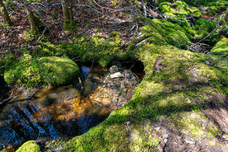 Properties in Cape Breton Island - www.goldenlakeestates.ca