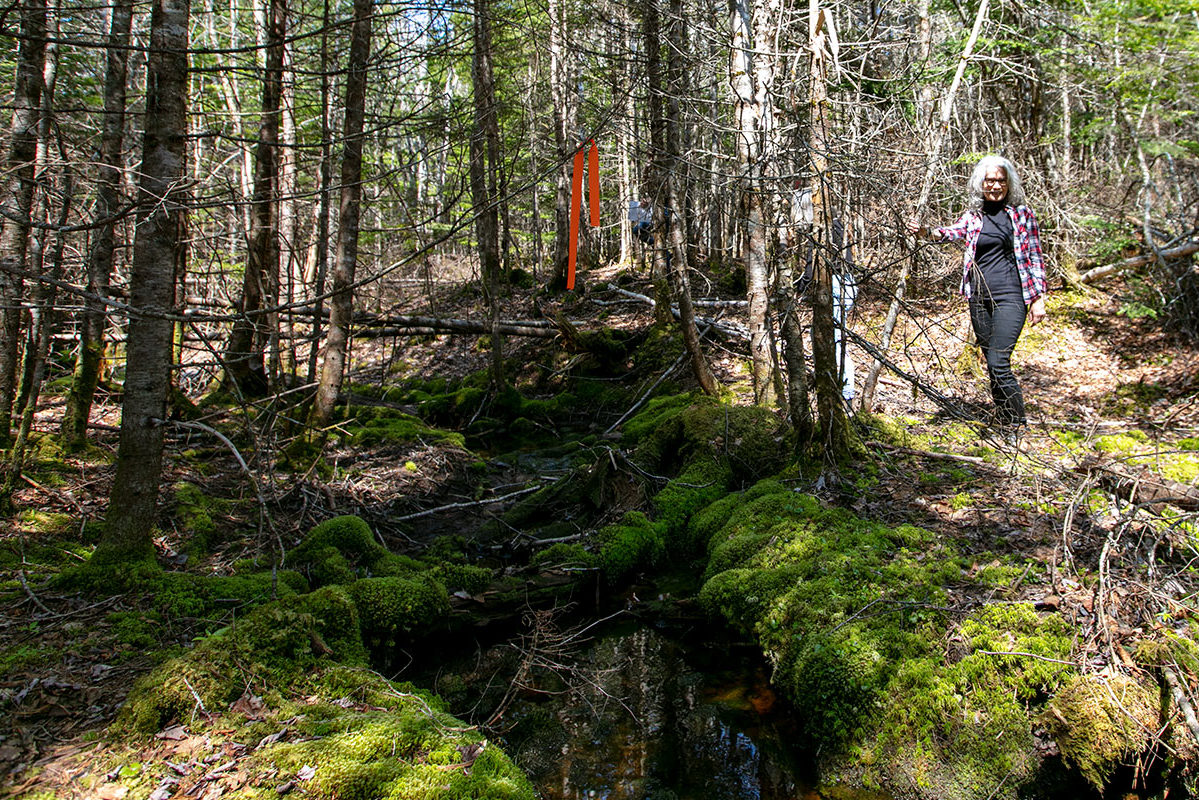 Properties in Cape Breton Island - www.goldenlakeestates.ca