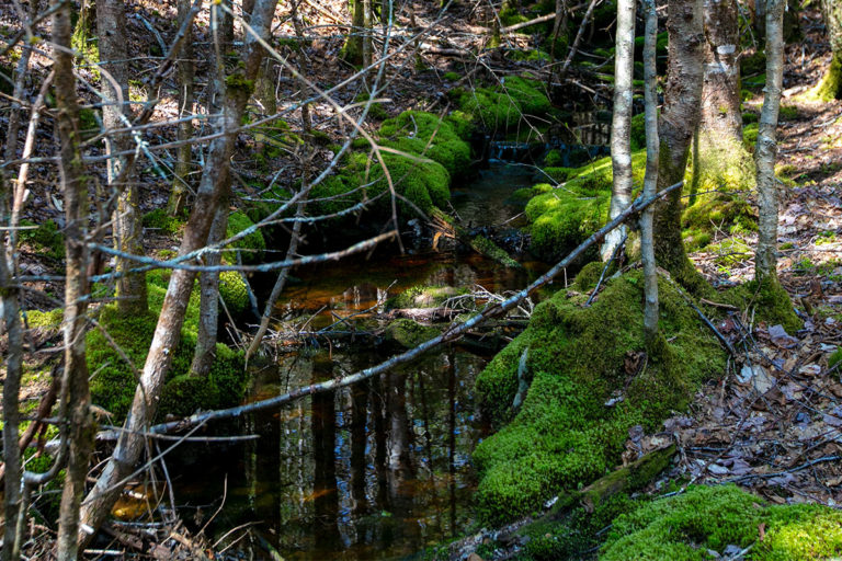 Properties in Cape Breton Island - www.goldenlakeestates.ca