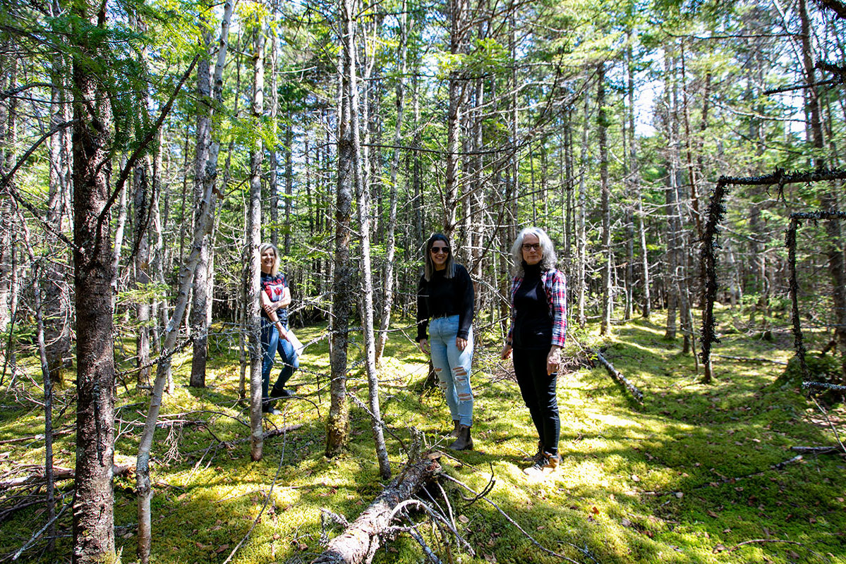 Properties in Cape Breton Island - www.goldenlakeestates.ca