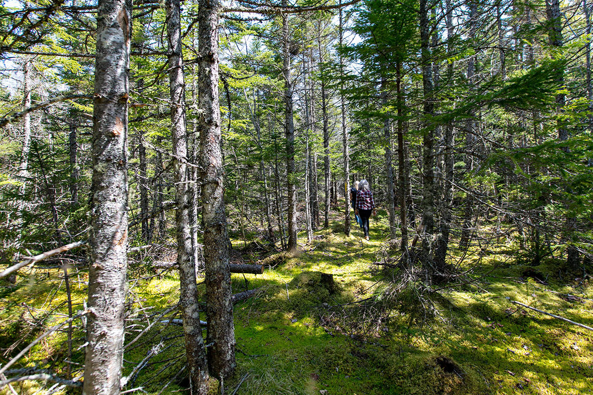 Properties in Cape Breton Island - www.goldenlakeestates.ca