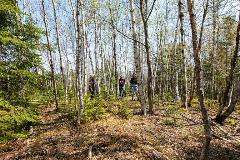 Properties in Cape Breton Island - www.goldenlakeestates.ca