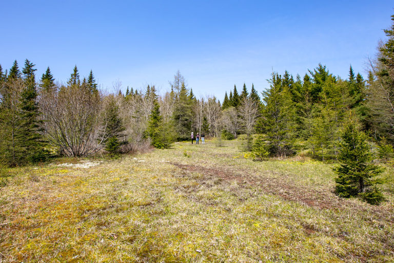 Properties in Cape Breton Island - www.goldenlakeestates.ca