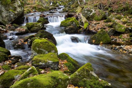 Cape Breton Island - www.glee2021mmamen.wpengine.com