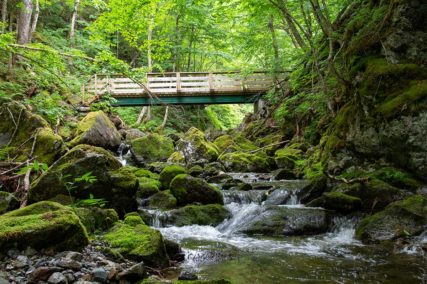 Cape Breton Island - www.glee2021mmamen.wpengine.com