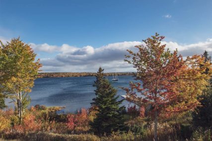 Ausblick auf dem See - www.glee2021mmamen.wpengine.com