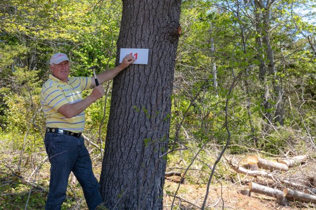 Golden Lake Estates Ltd. - Immobilien in Kanada