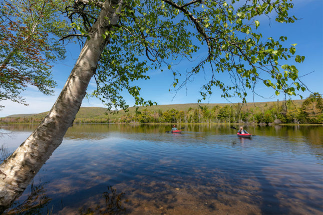 Golden Lake Estates Ltd. - Immobilien in Kanada