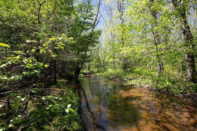 Golden Lake Estates Ltd. - Immobilien in Kanada