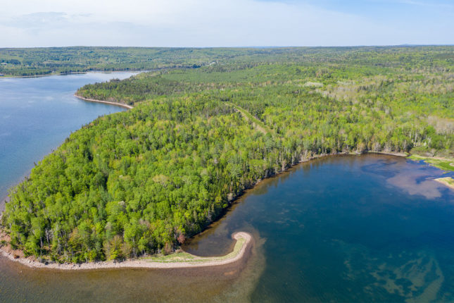 Golden Lake Estates Ltd. - Immobilien in Kanada