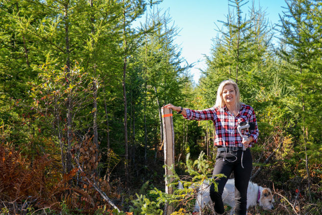 Golden Lake Estates Ltd. - Immobilien in Kanada