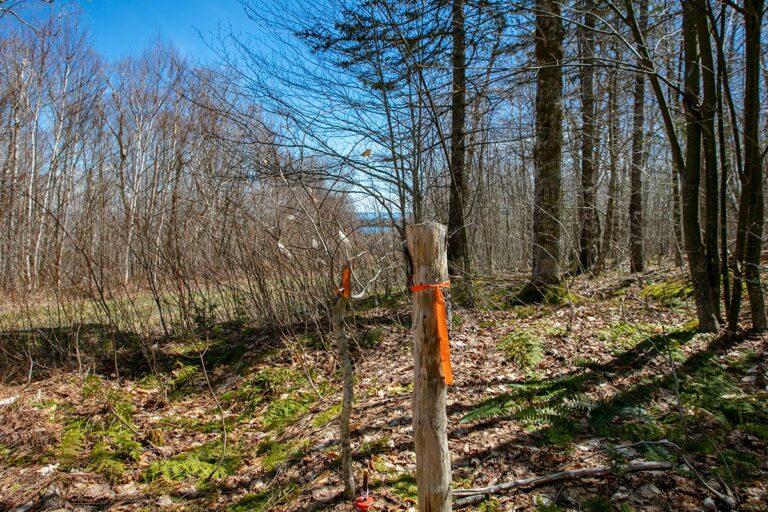 Silver Birch Estates - Properties on Cape Breton Island