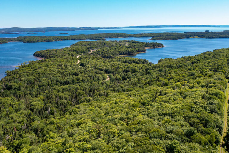 Silver Birch Estates Lot 19 - Lot 22