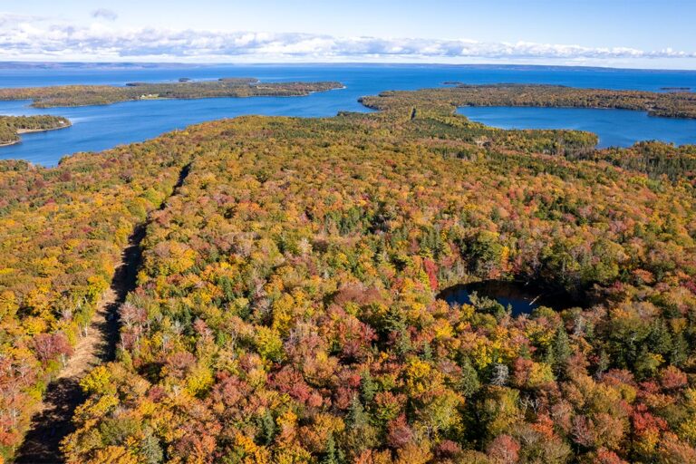 Silver Birch Estates - The lots