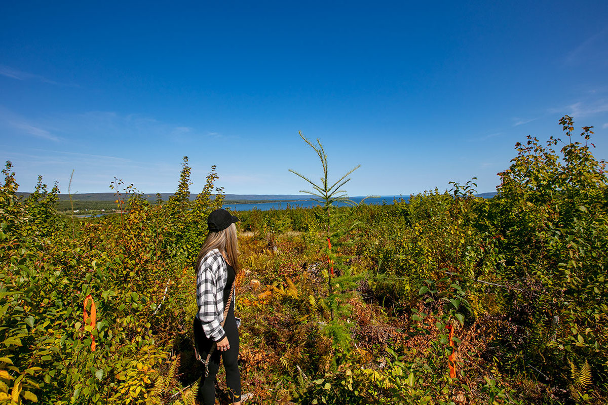 Properties in cape breton island www.goldenlakeestates.ca
