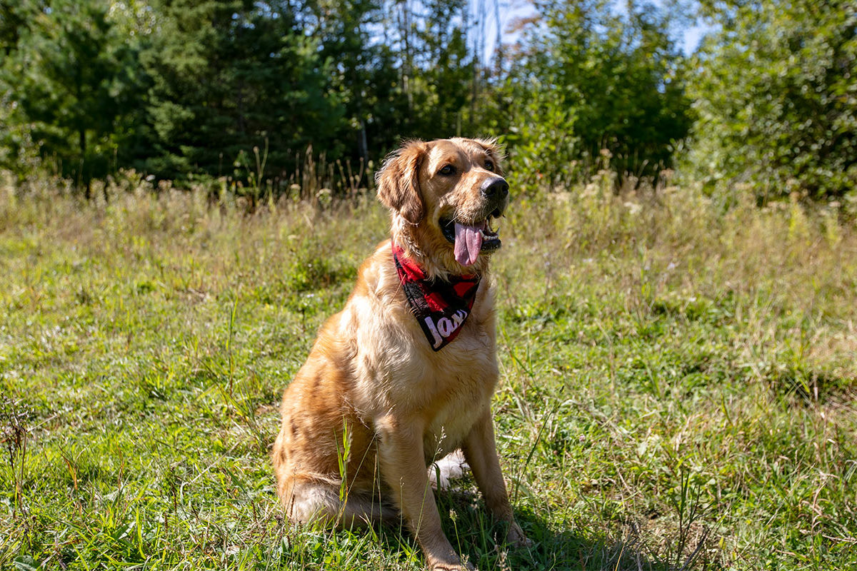 Properties in cape breton island www.goldenlakeestates.ca