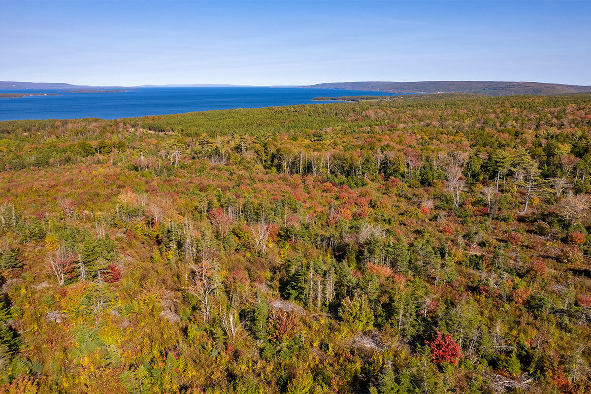 Properties in cape breton island www.goldenlakeestates.ca