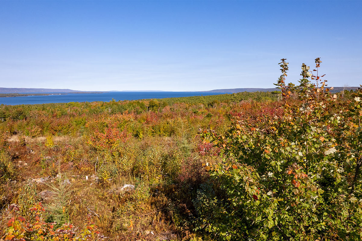 Properties in cape breton island www.goldenlakeestates.ca