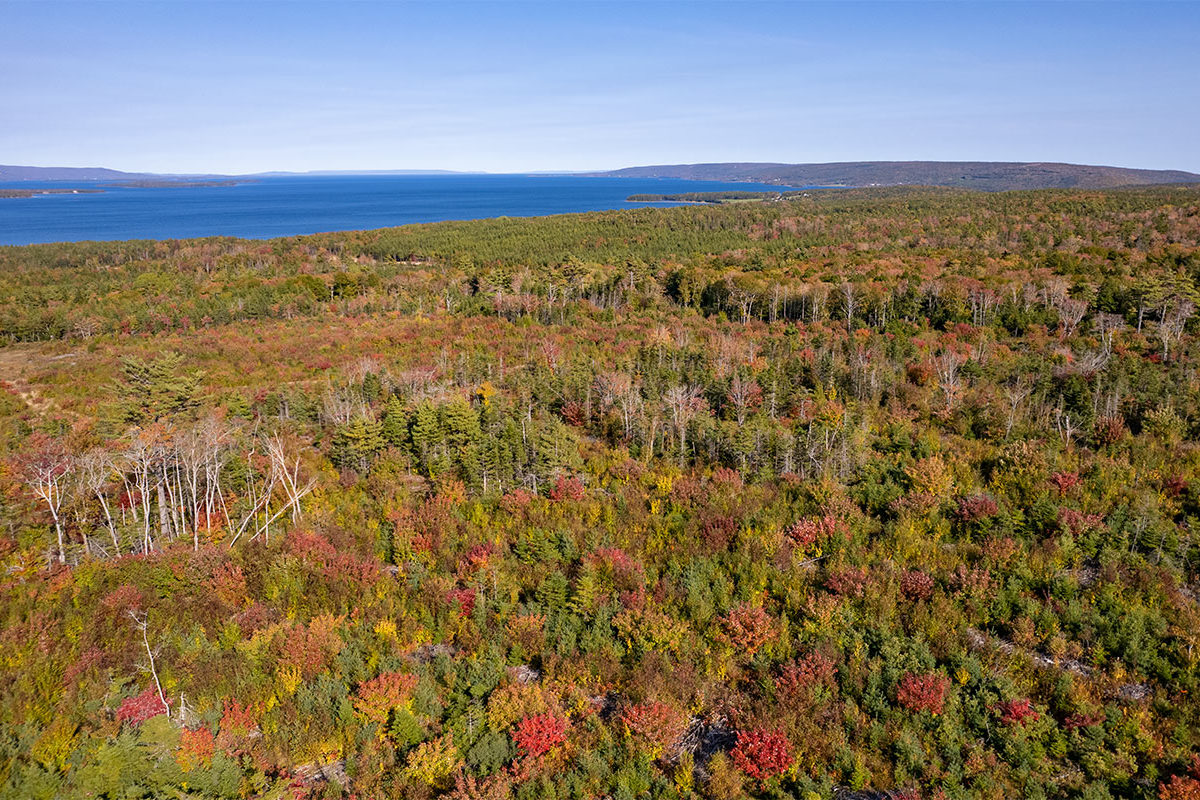 Properties in cape breton island www.goldenlakeestates.ca