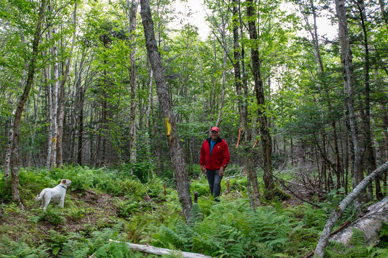 Properties in Cape Breton Island - www.goldenlakeestates.ca